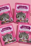 PS PRETTYSKIN Animal Cat Anti-Wrinkle Mask 25 gr | Kırışıklık Karşıtı Nemlendirici Kağıt Yüz Maskesi 4lü Set